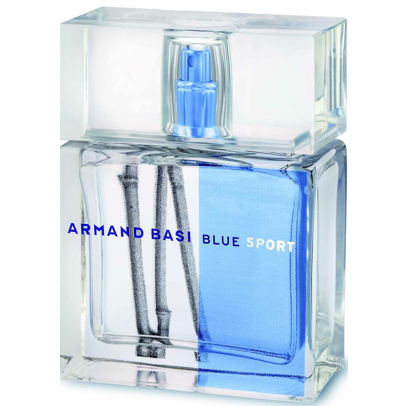 Armand Basi Armand Basi in Blue Sport