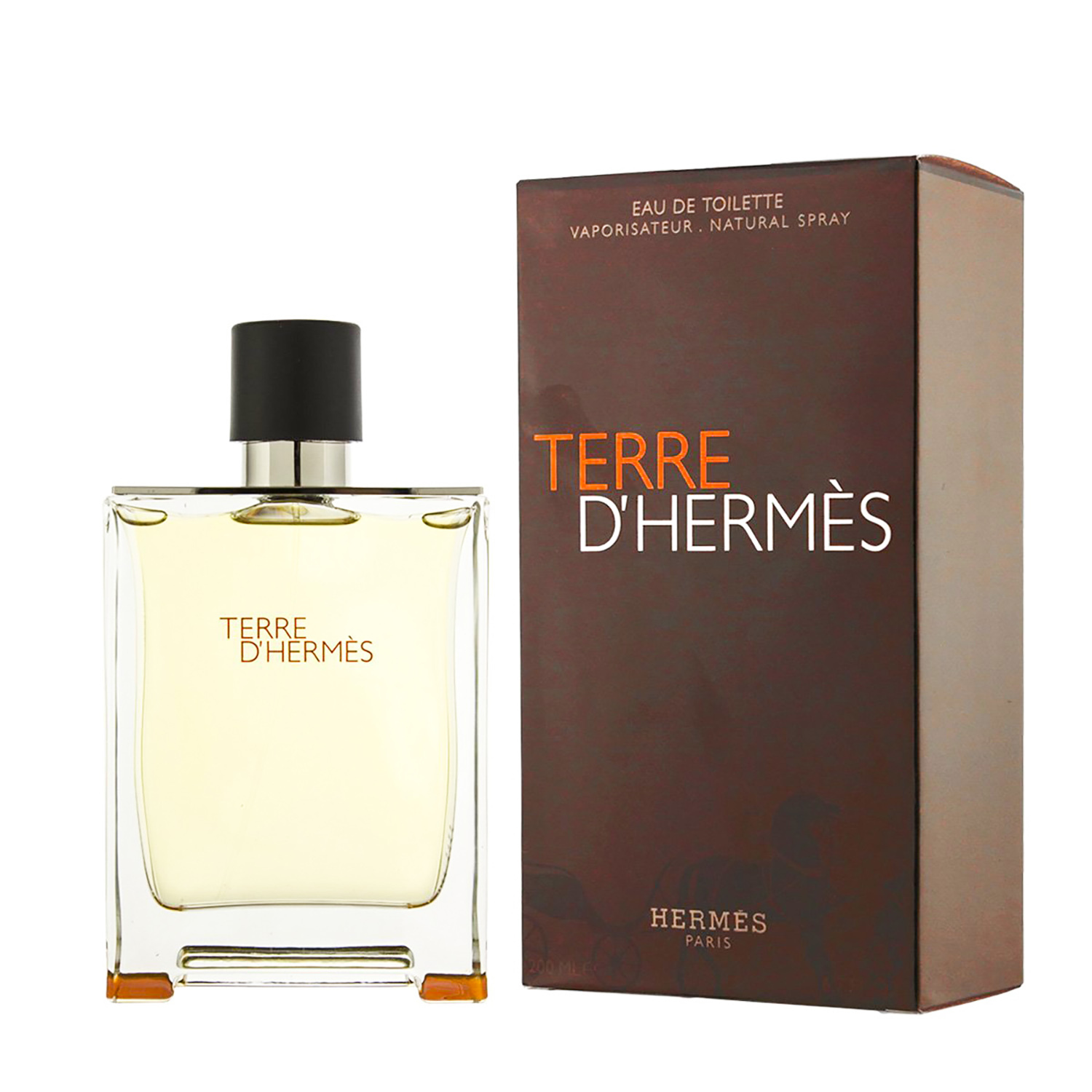 Hermes Terre d'Hermes