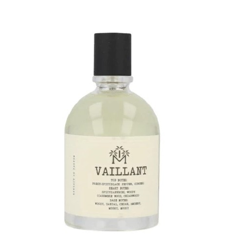 Moudon VAILLANT