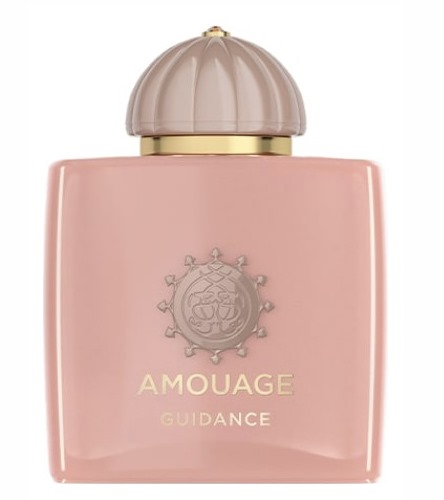 Amouage Guidance