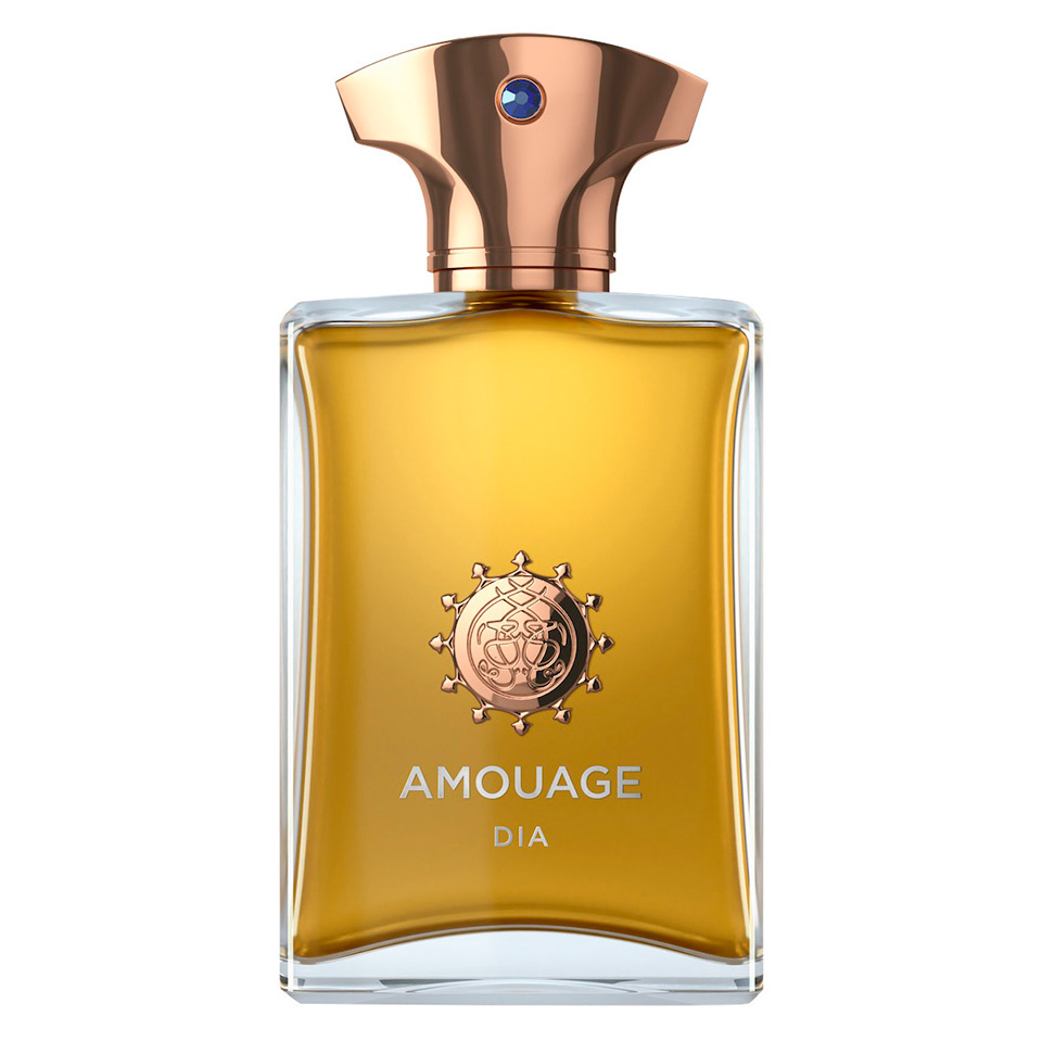 Amouage Dia pour homme